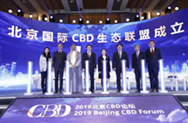 聚焦热点 ，显示未来！丽晶光电助力2019北京CBD论坛精彩召开